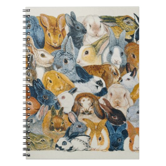 Heldere ogen notitieboek (Voorkant)