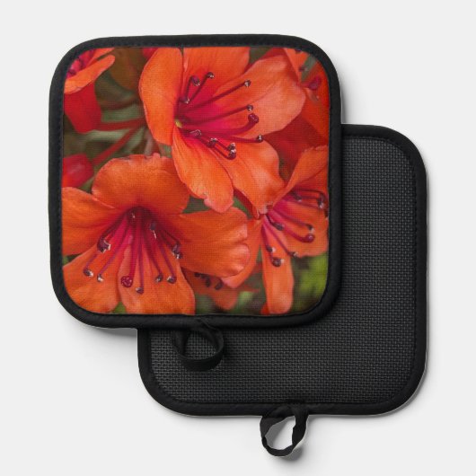 Heldere Oranje Rhododendron Blooms Bloemen Pannenlap (Voorkant / Achterkant)