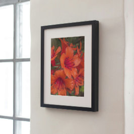 Heldere Oranje Rhododendron Blooms Bloemen Perfect Poster