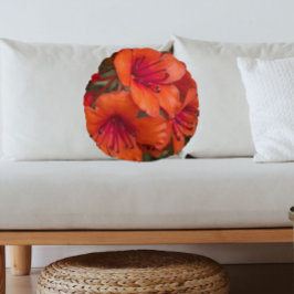 Heldere Oranje Rhododendron Blooms Bloemen Rond Kussen