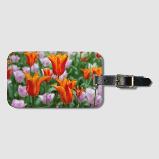 Heldere oranje tulpen in het park bagagelabel (Voorkant (horizontaal))