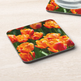 Heldere oranje tulpen in het park bier onderzetter