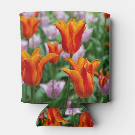 Heldere oranje tulpen in het park blikjeskoeler (Achterkant)