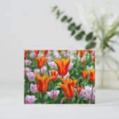 Heldere oranje tulpen in het park briefkaart (Staand voorkant)