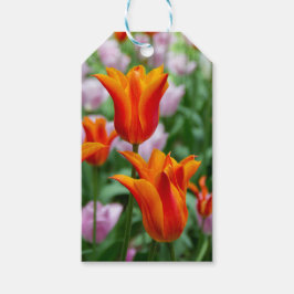 Heldere oranje tulpen in het park cadeaulabel