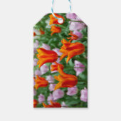 Heldere oranje tulpen in het park cadeaulabel (Voorkant)