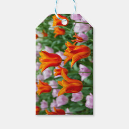 Heldere oranje tulpen in het park cadeaulabel