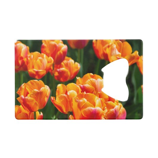 Heldere oranje tulpen in het park creditkaart flessenopener (Voorkant (Horizontaal))