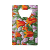 Heldere oranje tulpen in het park creditkaart flessenopener (Voorkant)