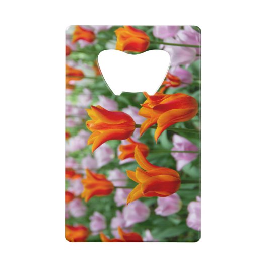 Heldere oranje tulpen in het park creditkaart flessenopener (Voorkant)