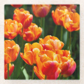 Heldere oranje tulpen in het park glazen onderzetter (Voorkant)