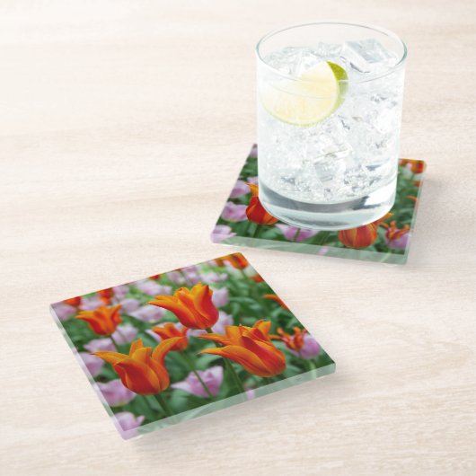 Heldere oranje tulpen in het park glazen onderzetter (Schuin)