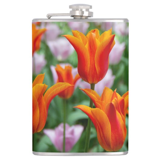 Heldere oranje tulpen in het park heupfles (Voorkant)