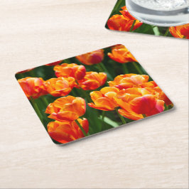 Heldere oranje tulpen in het park kartonnen onderzetters