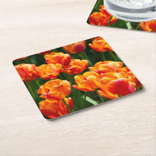 Heldere oranje tulpen in het park kartonnen onderzetters (Schuin)