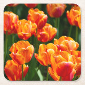 Heldere oranje tulpen in het park kartonnen onderzetters (Voorkant)