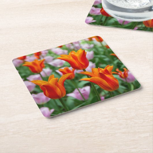 Heldere oranje tulpen in het park kartonnen onderzetters (Schuin)