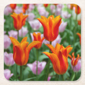 Heldere oranje tulpen in het park kartonnen onderzetters (Voorkant)
