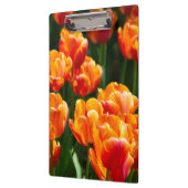 Heldere oranje tulpen in het park klembord (Links)