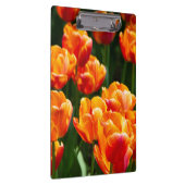 Heldere oranje tulpen in het park klembord (Rechts)