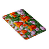 Heldere oranje tulpen in het park magneet (Rechterzijde)