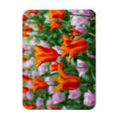 Heldere oranje tulpen in het park magneet (Verticaal)