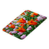 Heldere oranje tulpen in het park magneet (Linkerzijde)