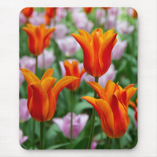 Heldere oranje tulpen in het park muismat (Voorkant)