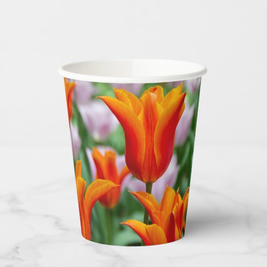 Heldere oranje tulpen in het park papieren bekers (Links)