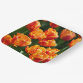 Heldere oranje tulpen in het park papieren bordje (Gebogen)