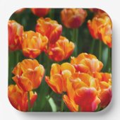 Heldere oranje tulpen in het park papieren bordje (Voorkant)