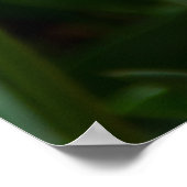 Heldere oranje tulpen in het park poster (Hoek)