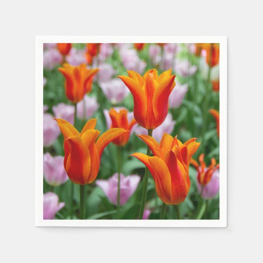 Heldere oranje tulpen in het park servet (Voorkant)