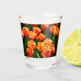 Heldere oranje tulpen in het park shot glas