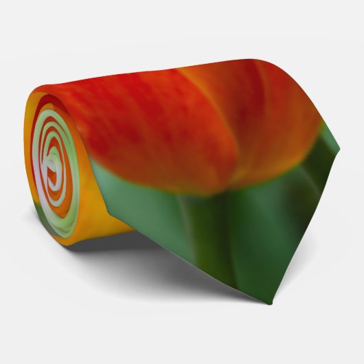 Heldere oranje tulpen in het park stropdas (Opgerold)