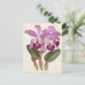 Heldere Paarse Cattleya Orchid Botanisch Briefkaart (Staand voorkant)