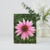 Heldere Paarse Coneflower Briefkaart (Staand voorkant)