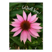 Heldere Paarse Coneflower Get Well Soon Kaart (Voorkant)