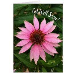 Heldere Paarse Coneflower Get Well Soon Kaart