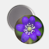 Heldere Paarse kleurrijke bloemenmagneet Magneet (Voorkant / Achterkant)