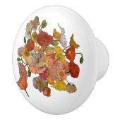 heldere papaverkeramische knop (Rechts)