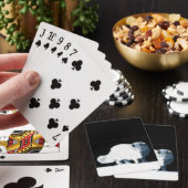 Heldere Poolvos Pokerkaarten (Insitu)