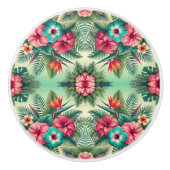 Heldere problemen keramische knop (Voorkant)