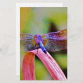 Heldere regenboogroze dragonvlieg briefpapier (Voorkant / Achterkant)