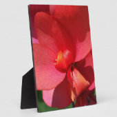 heldere rode bladen fotoplaat (Zijkant)