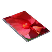 heldere rode bladen notitieboek (Rechterzijde)