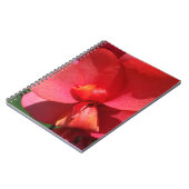 heldere rode bladen notitieboek (Linkerzijde)