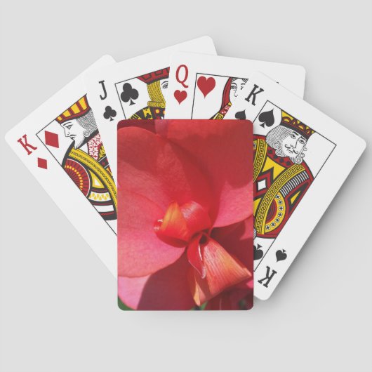 heldere rode bladen pokerkaarten (Achterkant)