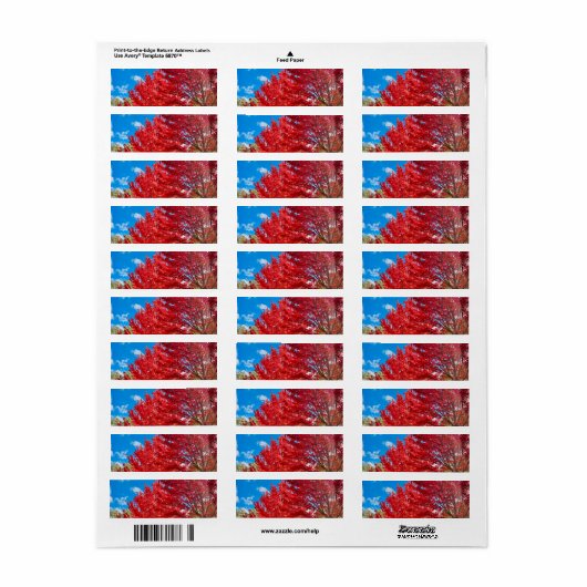 Heldere rode bladeren in de herfst etiket (Full Sheet)