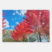 Heldere rode bladeren in de herfst inpakpapier vel (Voorkant 2)